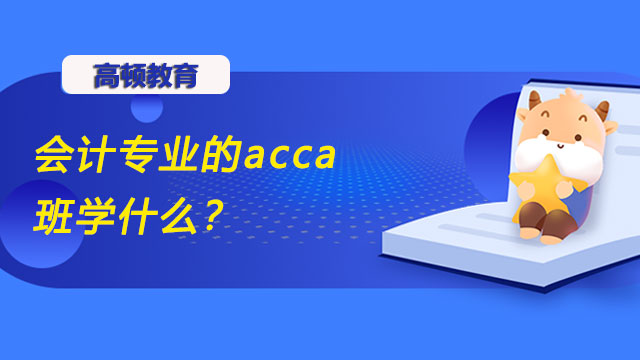 会计专业的acca班学什么？