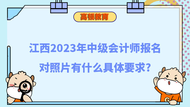 中级会计师报名