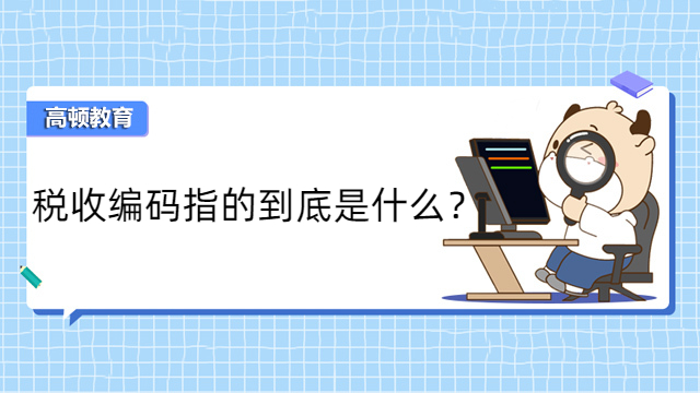 税收编码指的到底是什么？