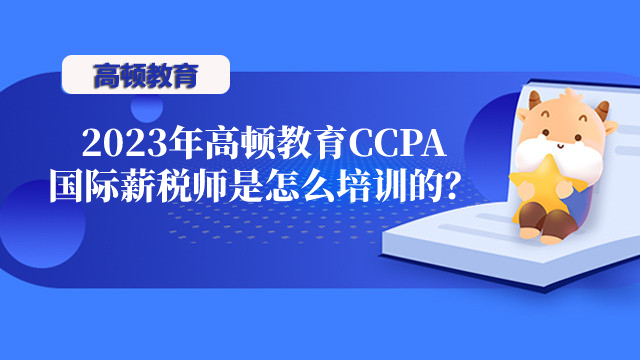 2023年高顿教育CCPA国际薪税师是怎么培训的？