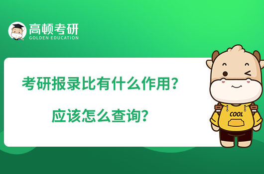 考研報錄比有什么作用？應該怎么查詢？