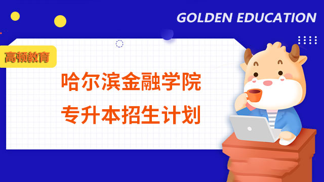 2023年哈爾濱金融學院專升本招生計劃：總計540人
