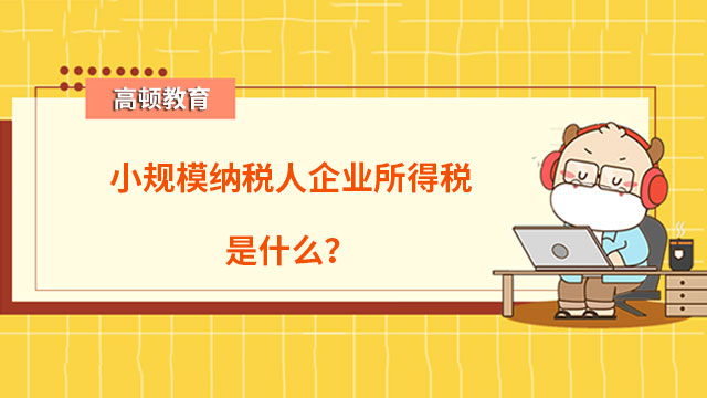 小规模纳税人企业所得税是什么