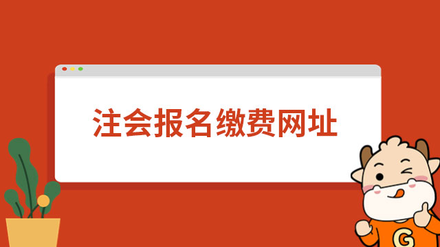 注会报名缴费网址