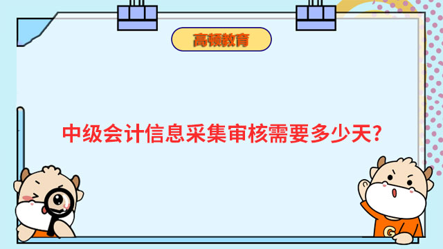 中级会计信息采集审核