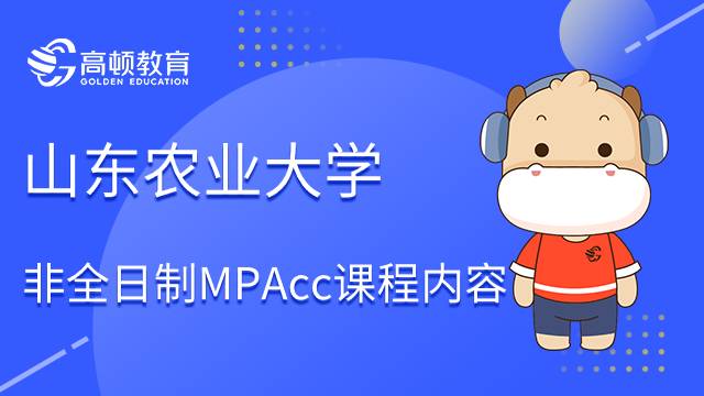 山东农业大学非全日制MPAcc课程内容！值得你了解