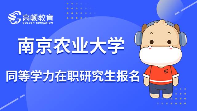 23年南京农业大学同等学力在职研究生报名条件是什么？查看全文