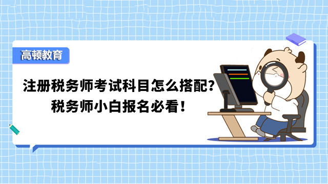 注册税务师考试科目怎么搭配？税务师小白报名必看！