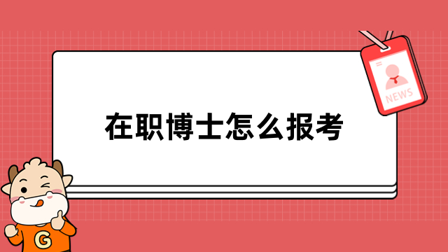 在职博士怎么报考？单证/双证，详情汇总