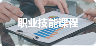 职业技能课程